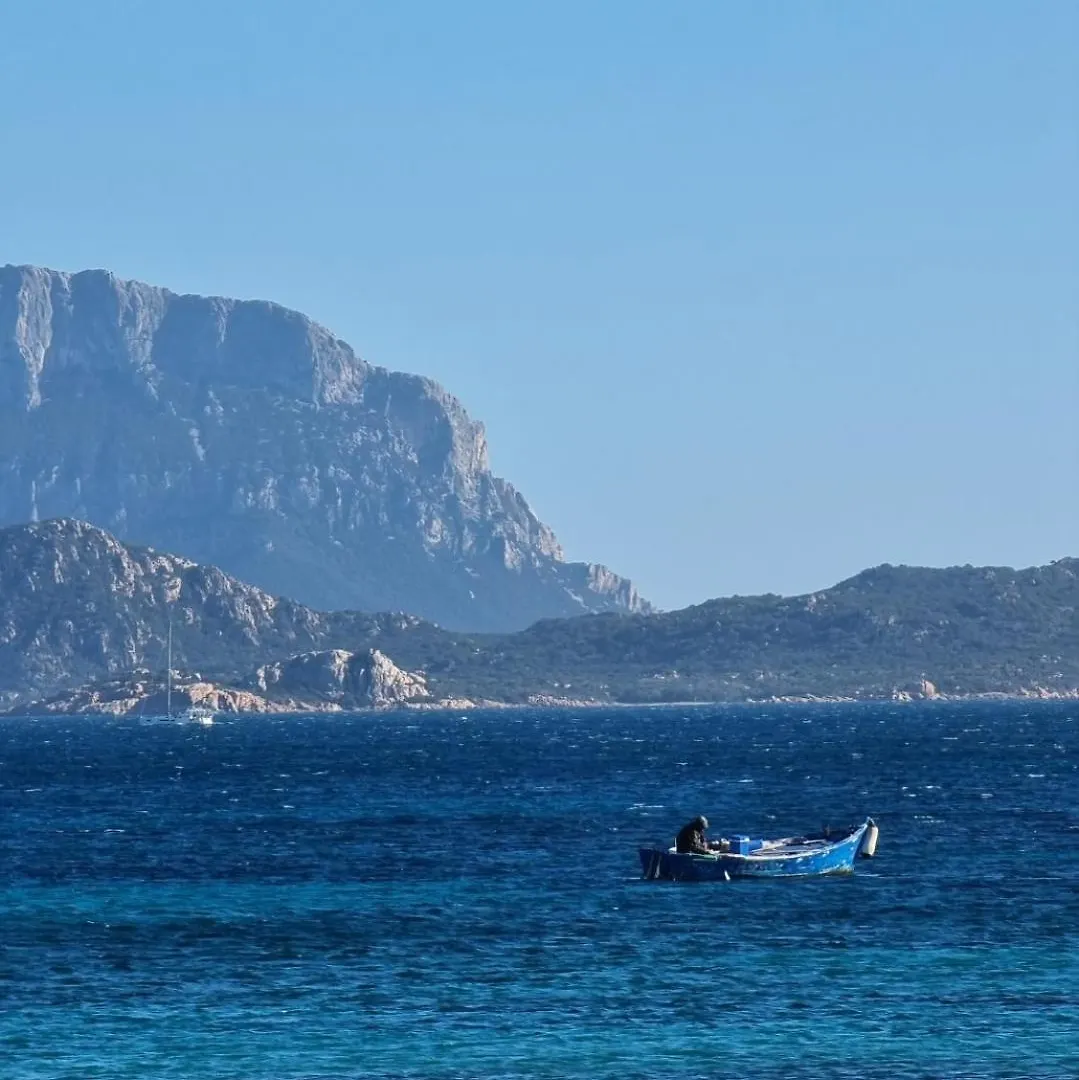 Appartement Sardegna Retreat à Cugnana Verde Italie